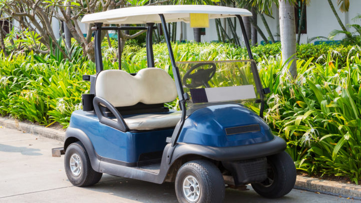 Teen Dies in Florida Golf Cart Accident