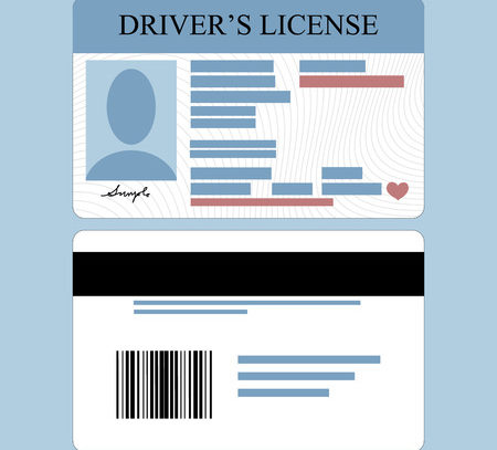 That time I got a Florida driver's license without knowing it