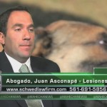Juan Asconapé – ENFOQUE ABOGADO  (Dog Bite Cases en Español)